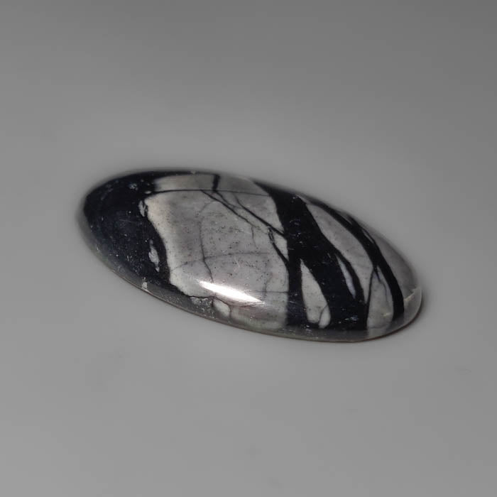 Picasso Jasper Cabochon