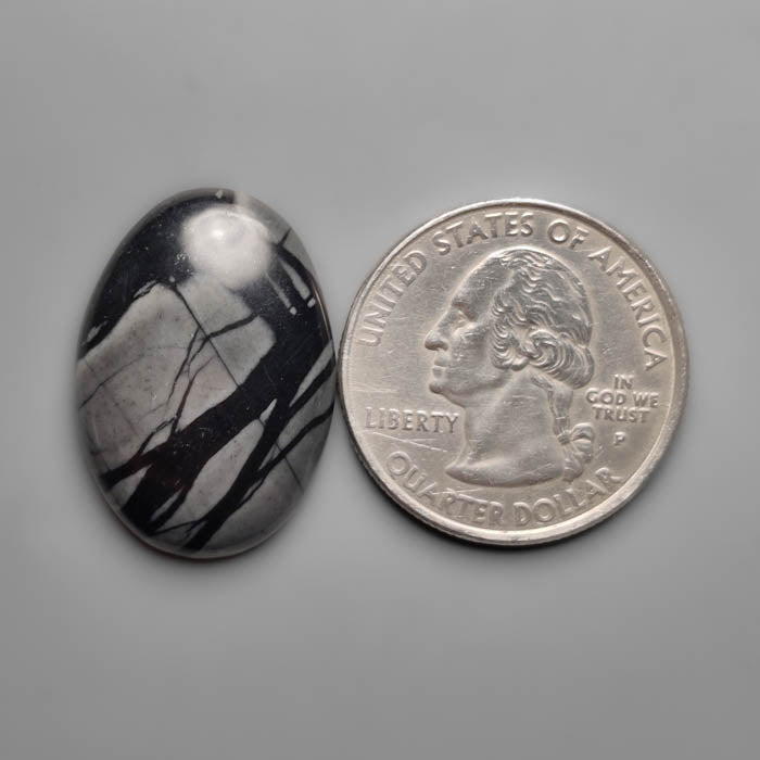 Picasso Jasper Cabochon