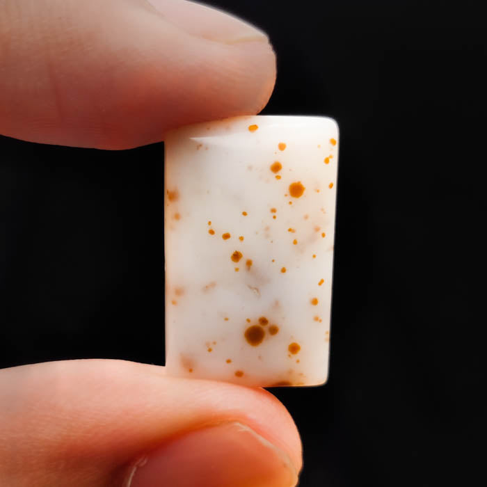 Polka Dot Agate Cabochon
