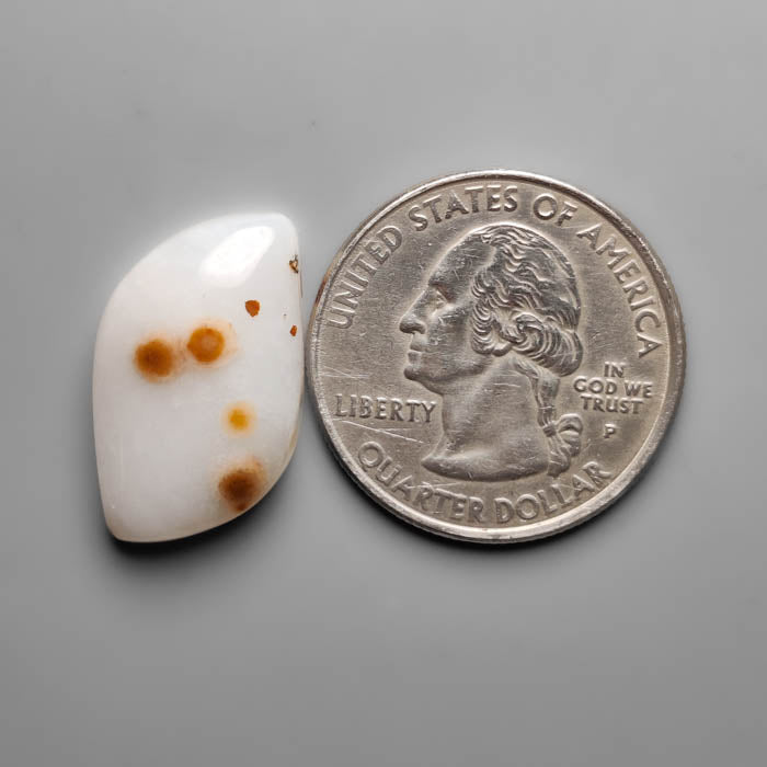 Polka Dot Agate Cabochon