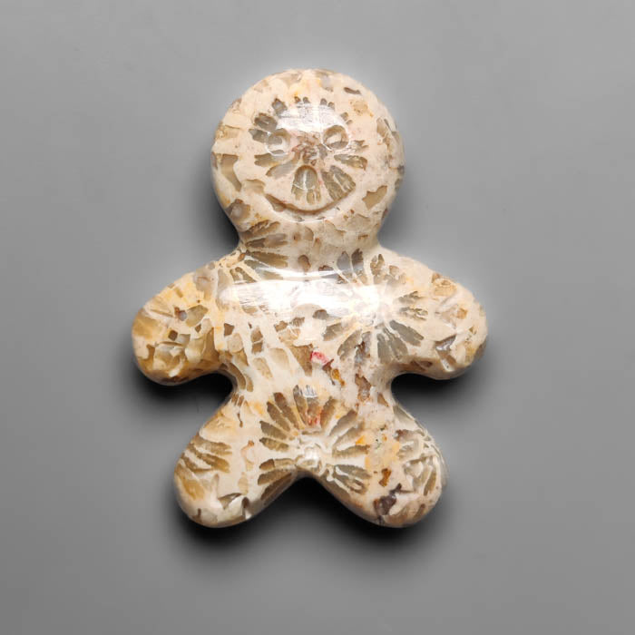 Fossil Coral
