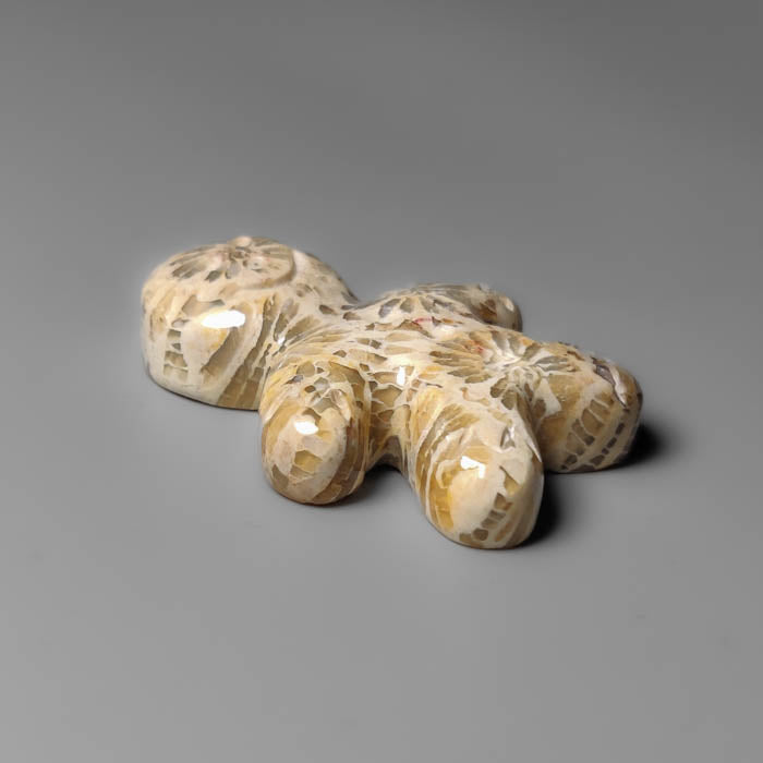 Fossil Coral Ginger Bread Boy Carving