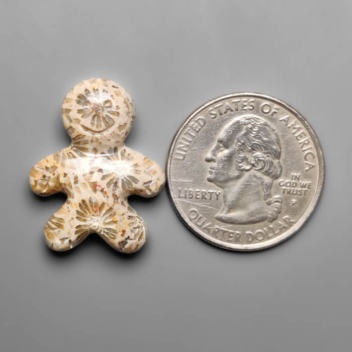 Fossil Coral Ginger Bread Boy Carving
