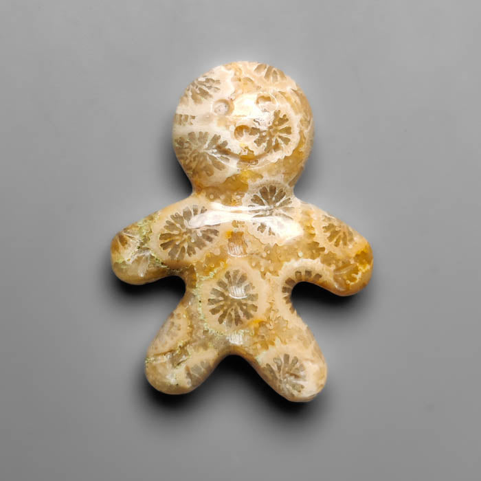 Fossil Coral
