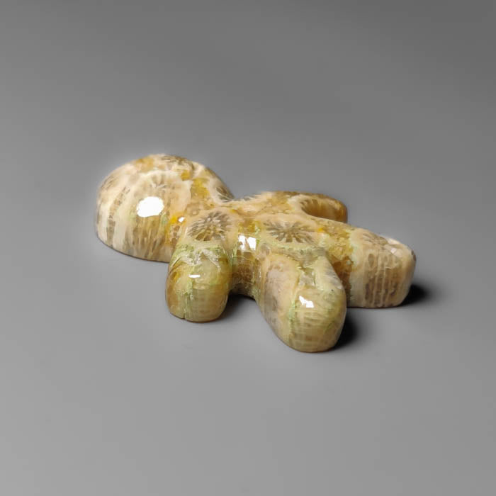 Fossil Coral Ginger Bread Boy Carving