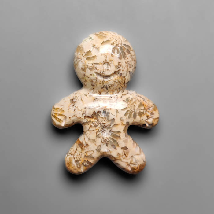 Fossil Coral