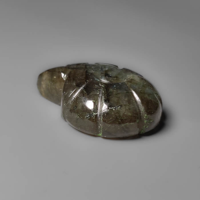 Labradorite Ammonite Shell Carving