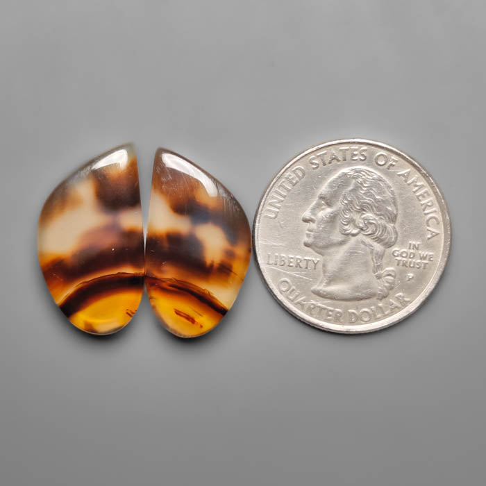 Montana Agate Pair