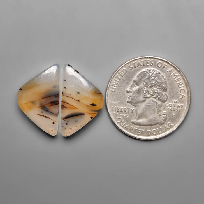 Montana Agate Pair
