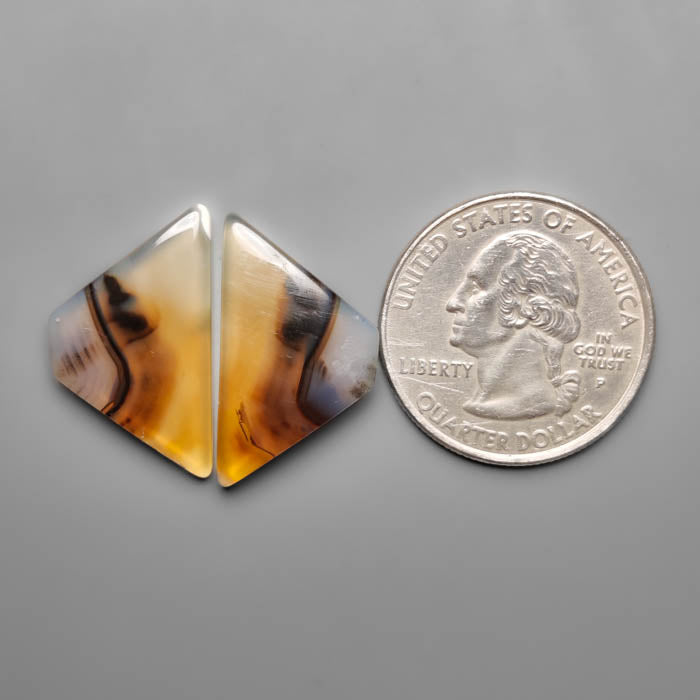 Montana Agate Pair