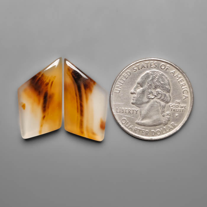 Montana Agate Pair