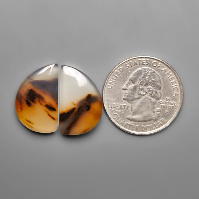 Montana Agate Pair
