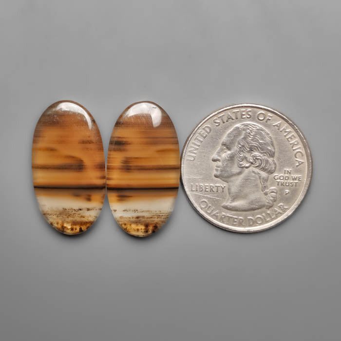 Montana Agate Pair