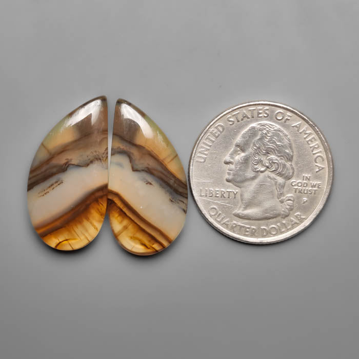 Montana Agate Pair