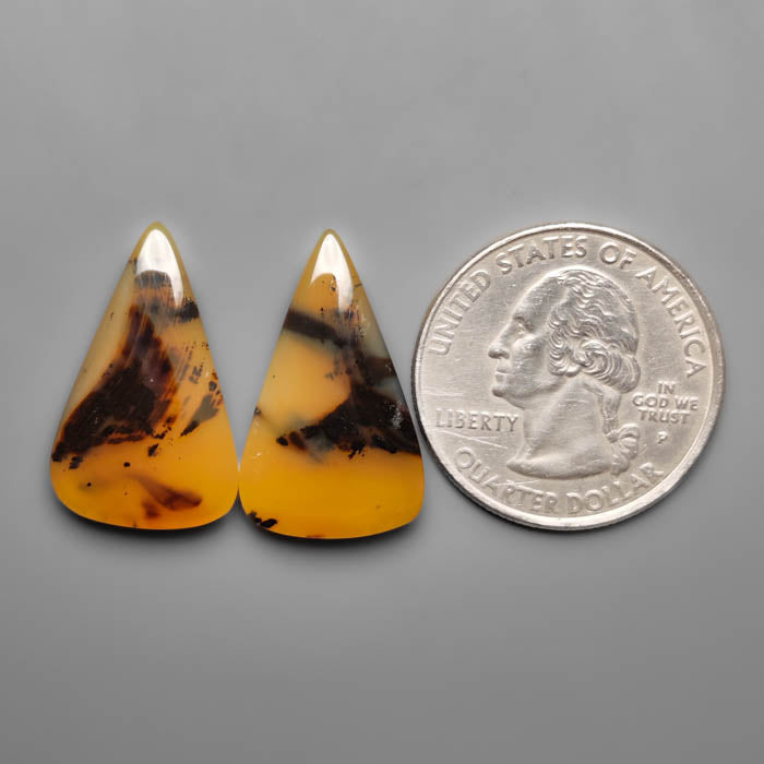 Montana Agate Pair
