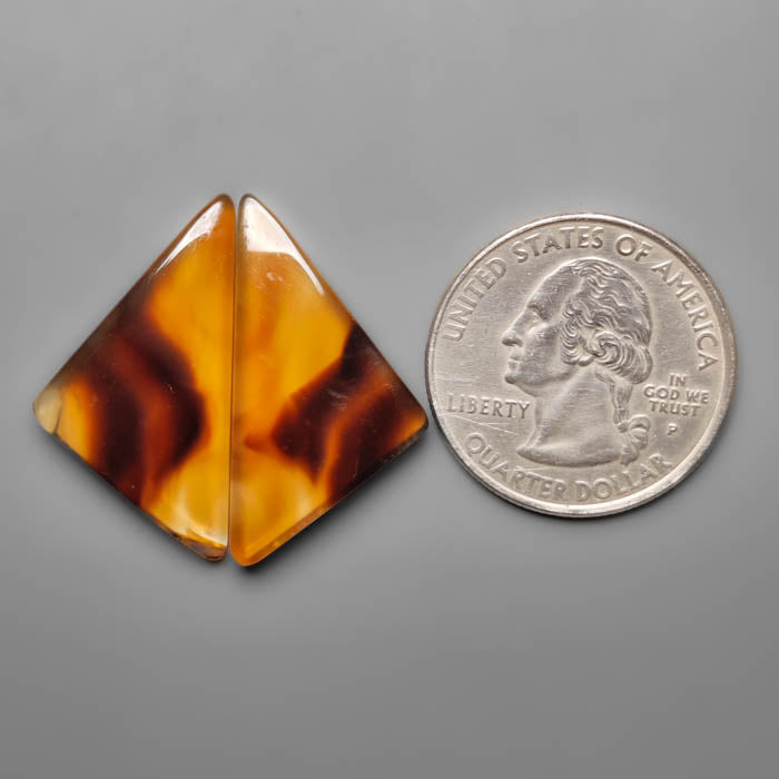 Montana Agate Pair