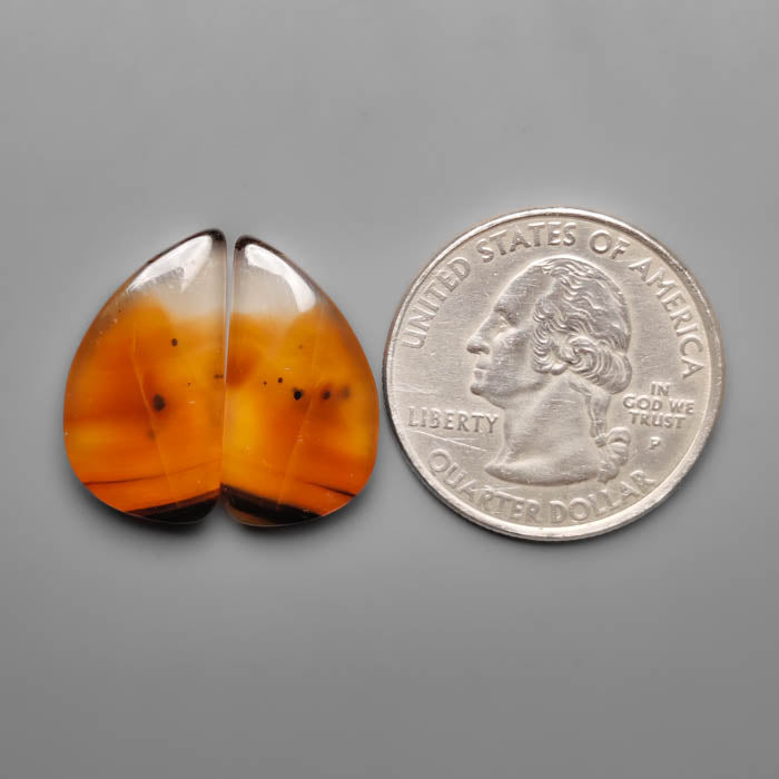 Montana Agate Pair