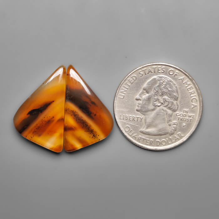 Montana Agate Pair