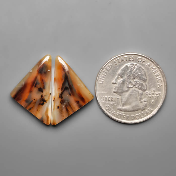 Montana Agate Pair