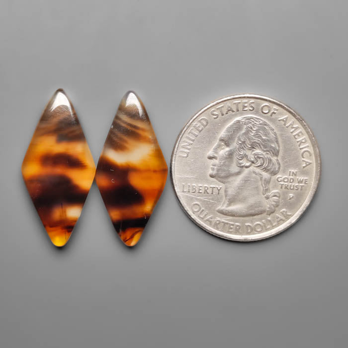 Montana Agate Pair