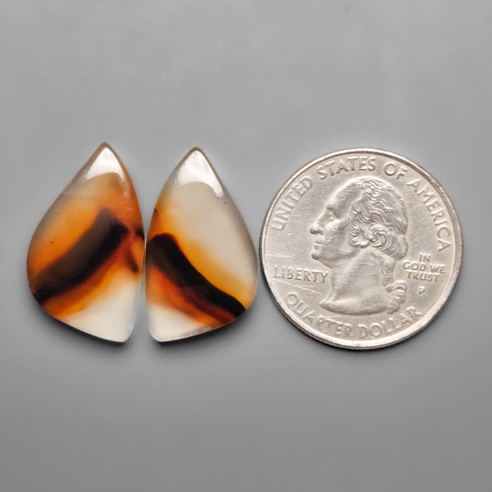 Montana Agate Pair