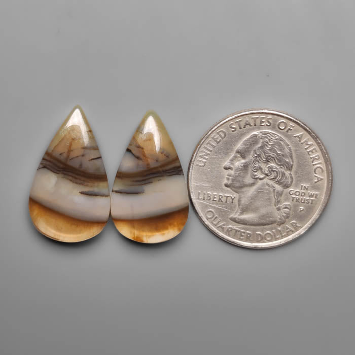 Montana Agate Pair