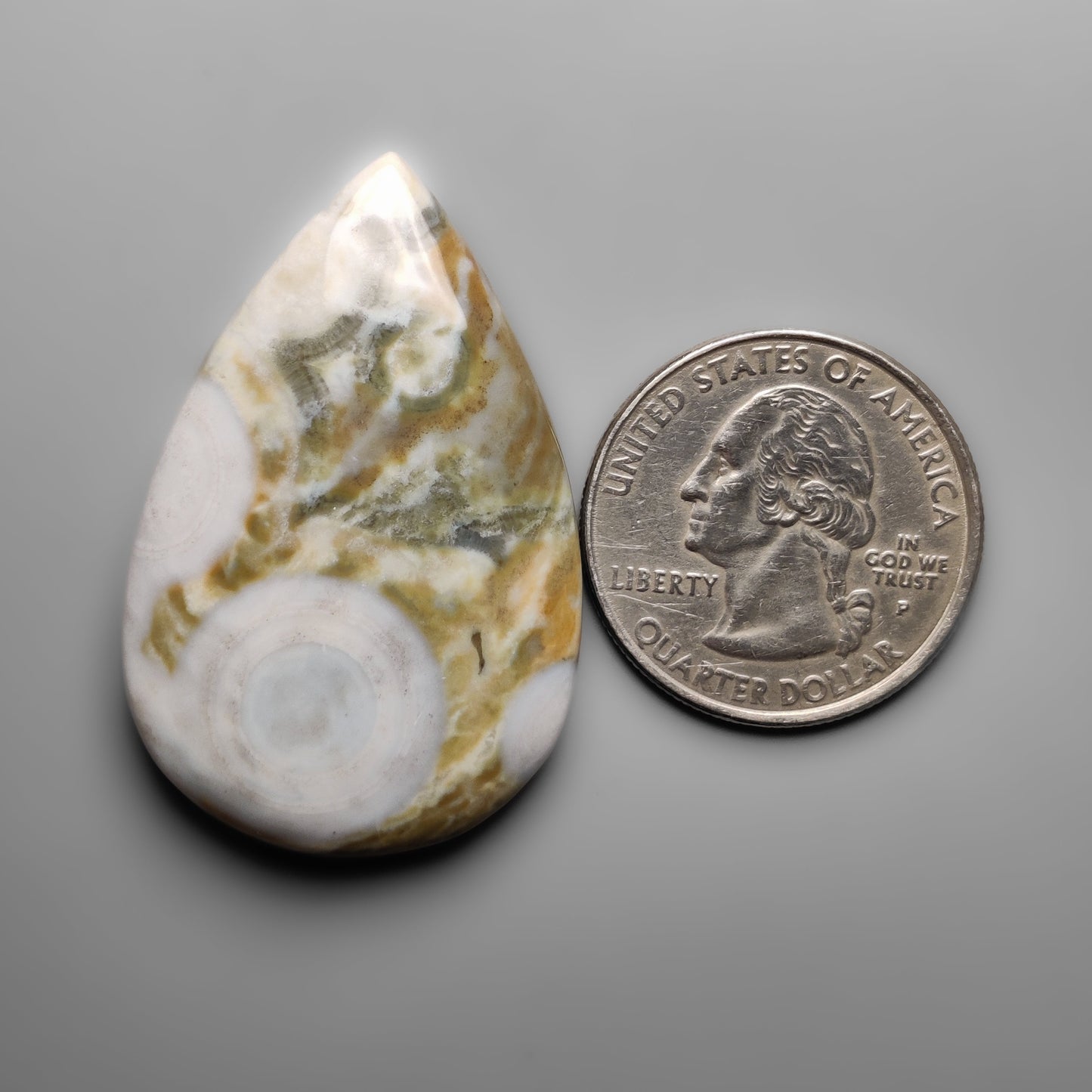 Cobra Jasper
