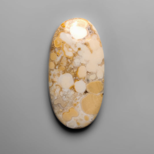 Cobra Jasper