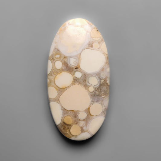 Cobra Jasper