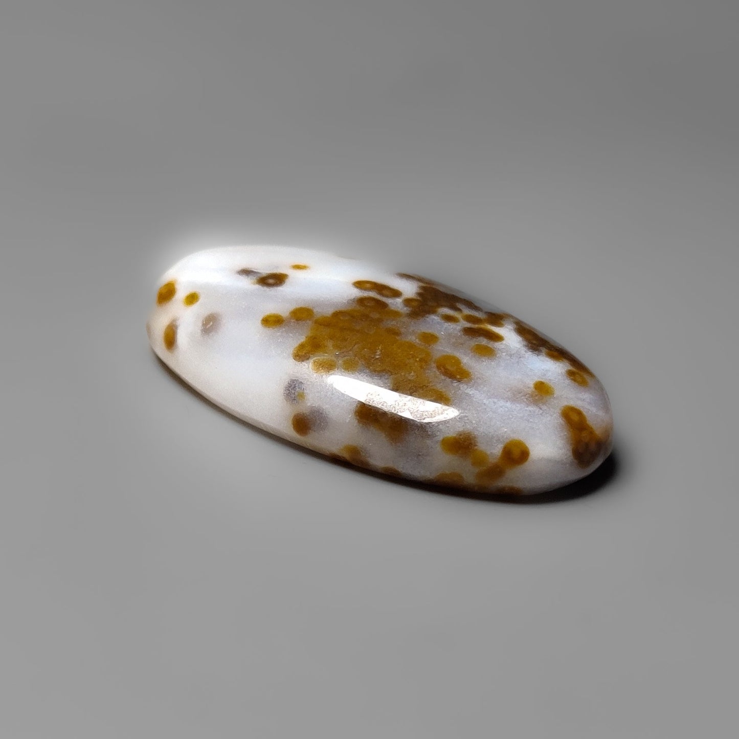 Polka Dot Agate
