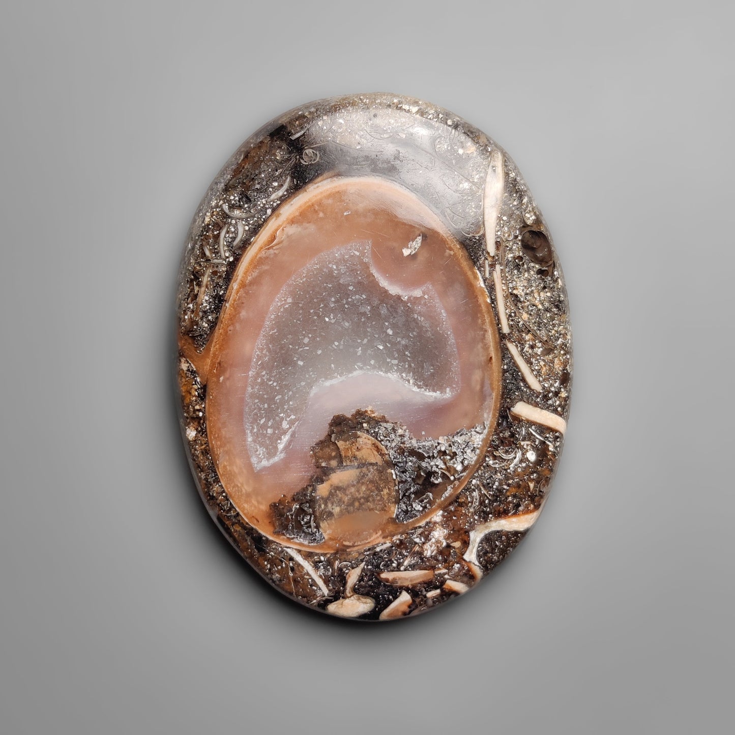Shell