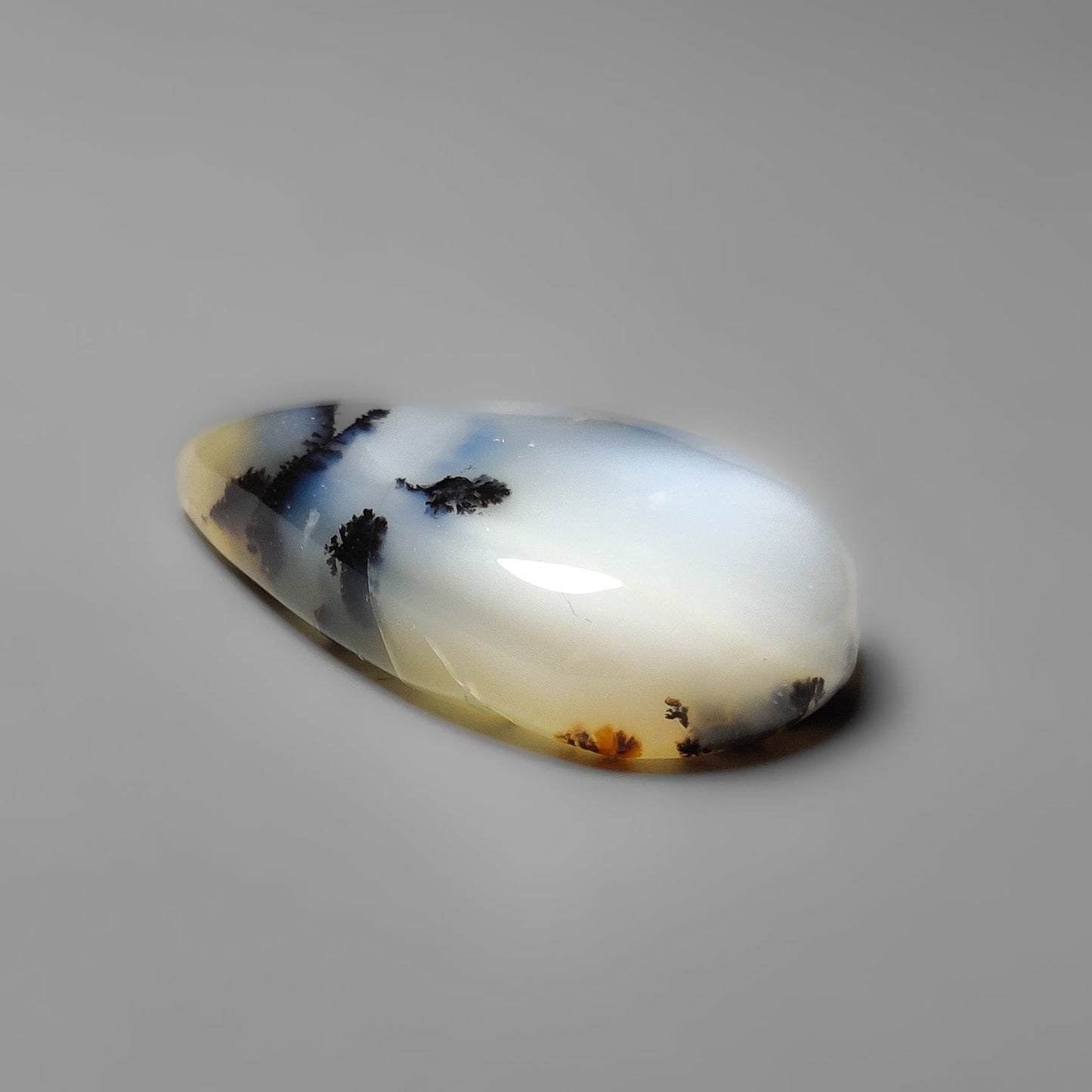 Dendritic Agate