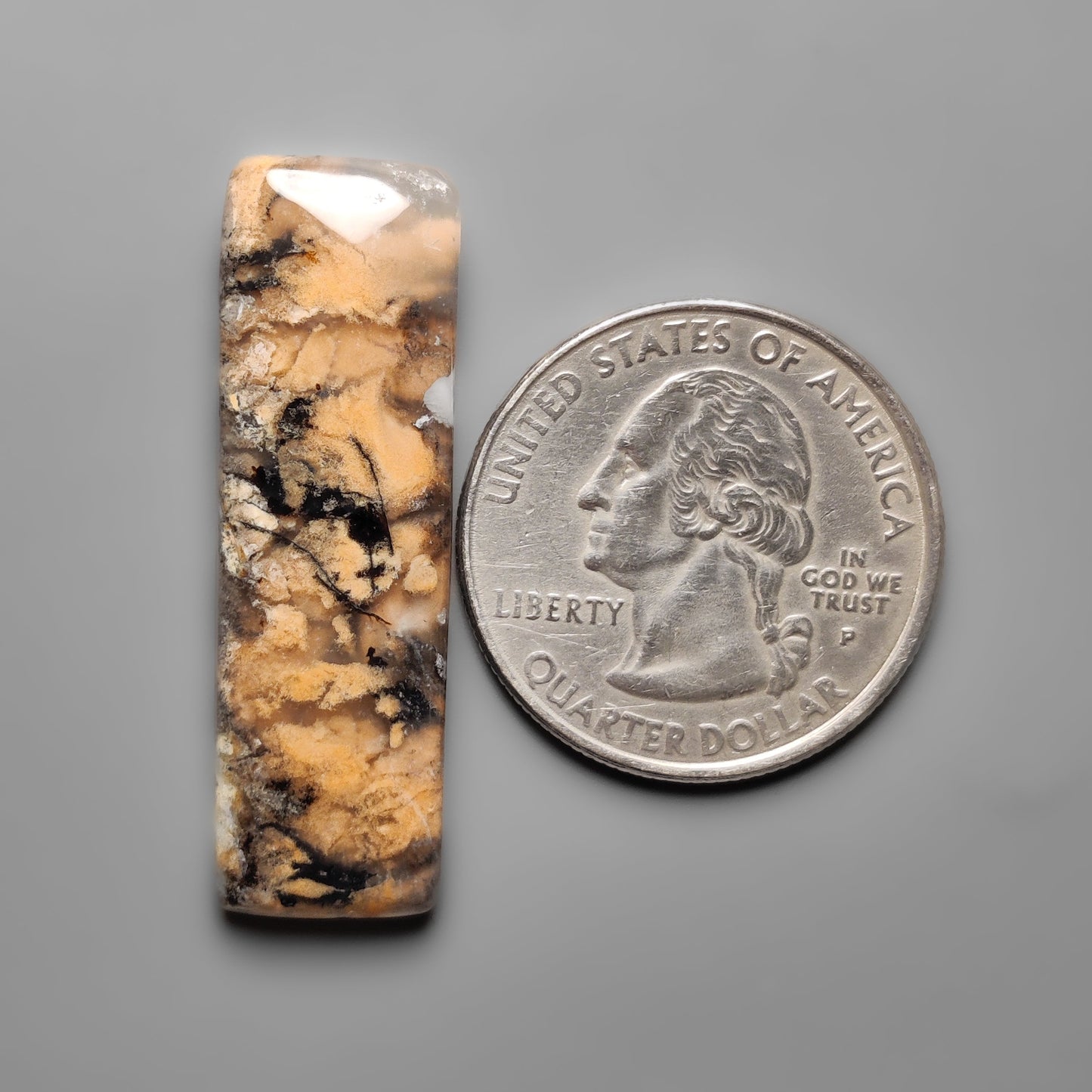 Dendritic Agate