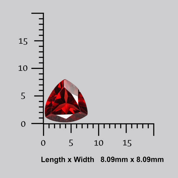 Faceted Mozambique Garnet