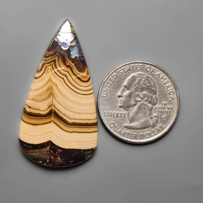 Schalenblende