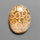 Fossil Coral