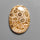 Fossil Coral