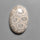 Fossil Coral