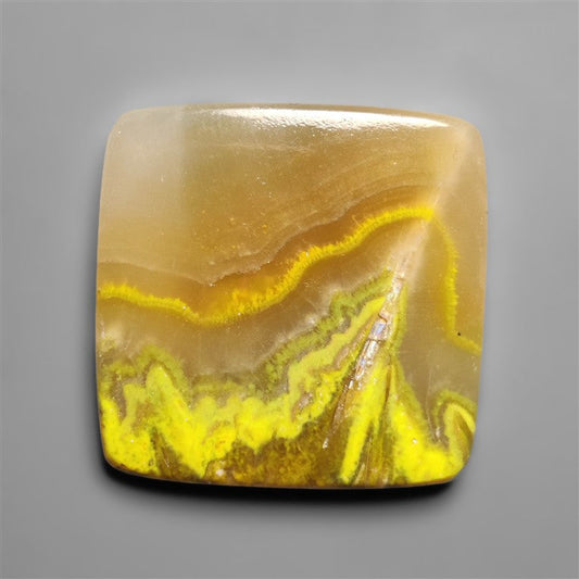 Bumble Bee Jasper