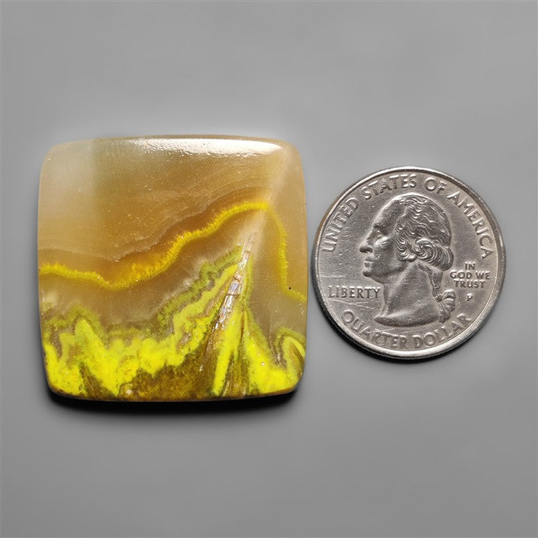 Bumble Bee Jasper