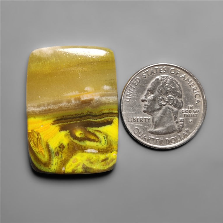Bumble Bee Jasper