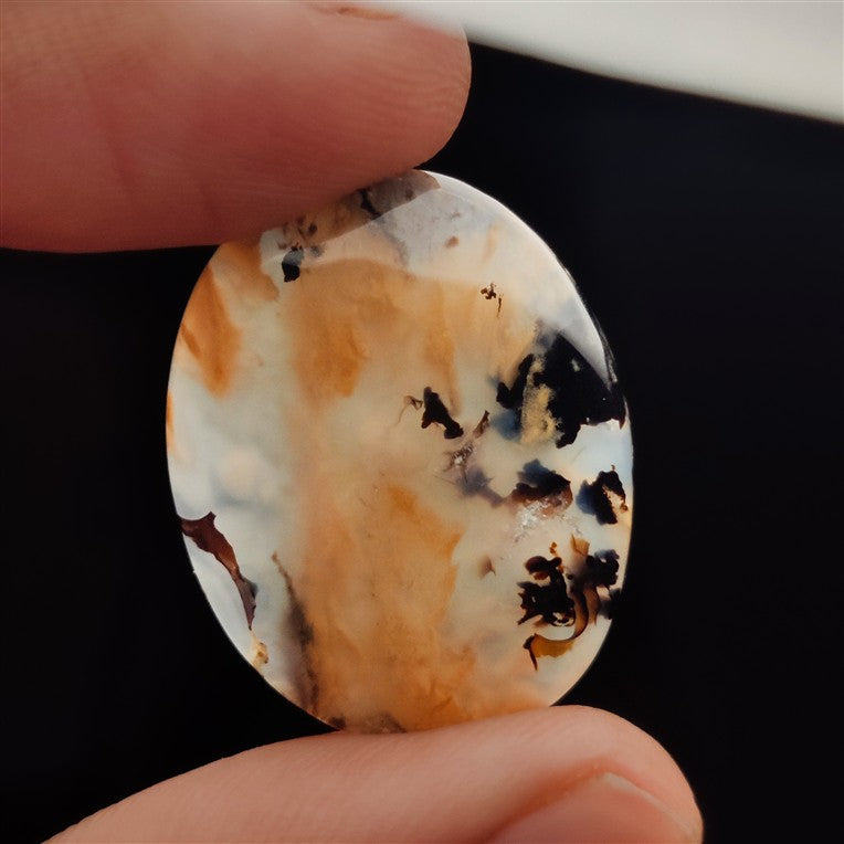 Dendritic Agate