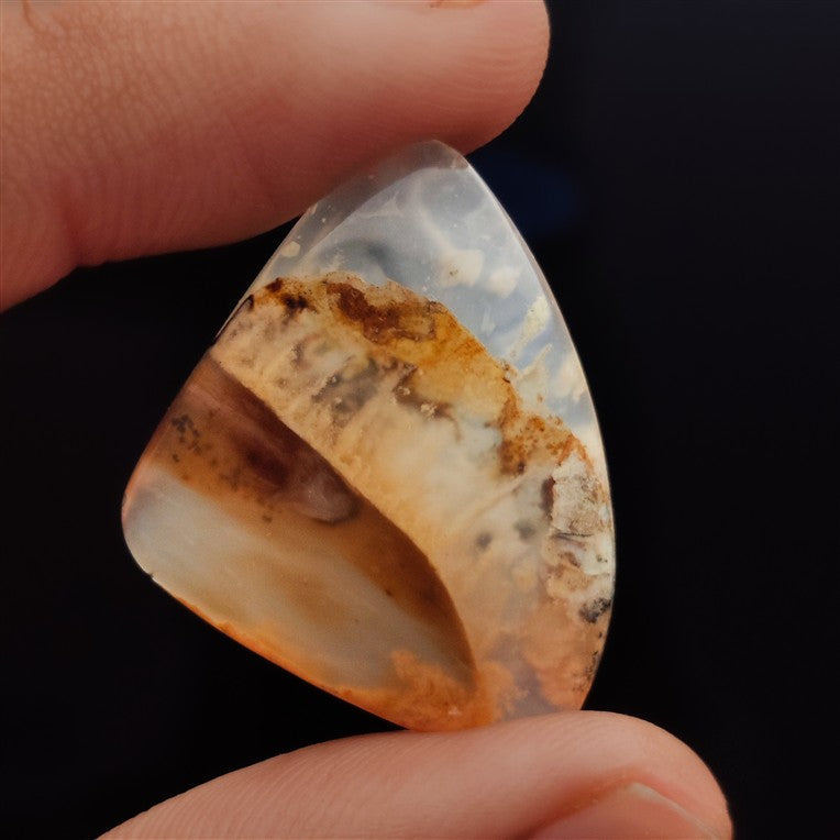 Dendritic Agate
