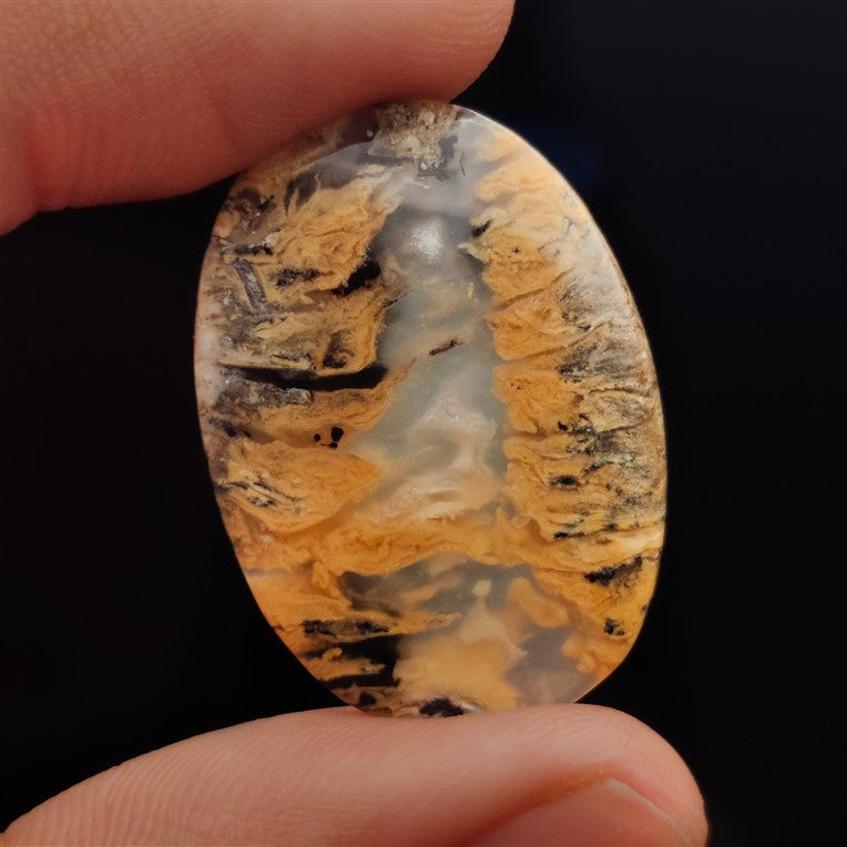 Dendritic Agate
