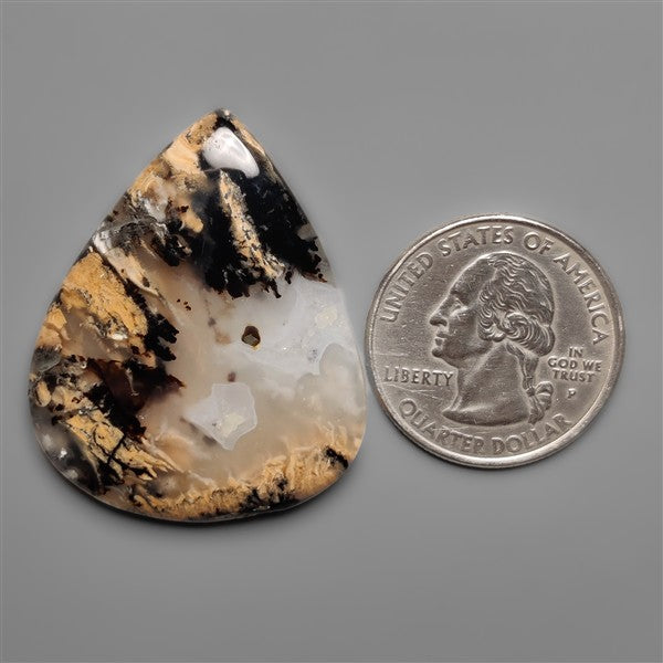 Australian Tiger Dendritic Agate Cabochon