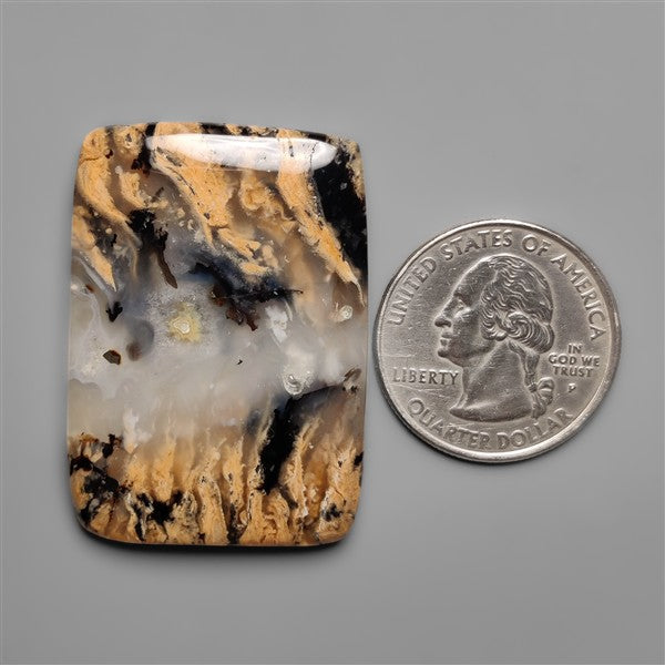 Australian Tiger Dendritic Agate Cabochon