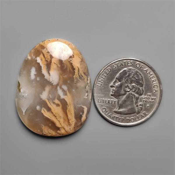 Australian Tiger Dendritic Agate Cabochon