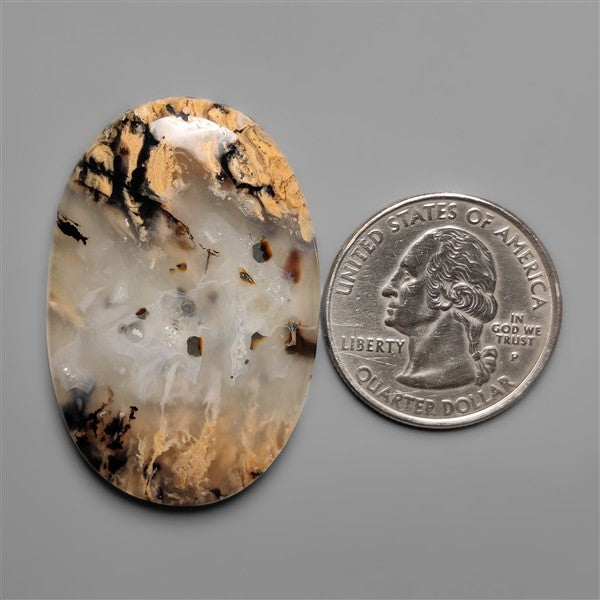 Australian Tiger Dendritic Agate Cabochon