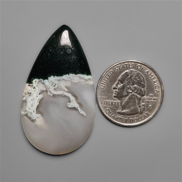 White Horse Canyon Moss Agate Cabochon