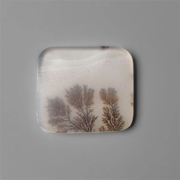 Scenic Agate Cabochon